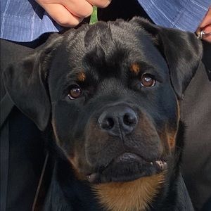 Meet your Posher, Michelle